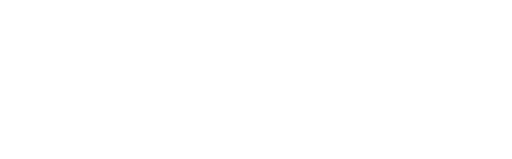 Everyday Vehicle Parts Store